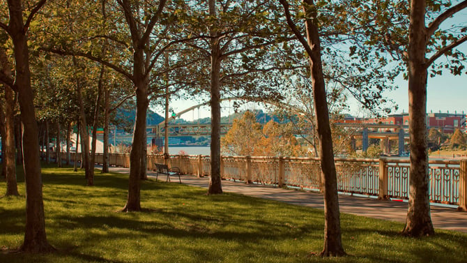 Blog - Explore Pittsburgh on a Budget: Insider Tips & Free Attractions